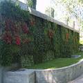 Giardino verticale in stile liberty, Merano (Bz) 
