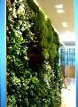 Giardino verticale indoor di tipo naturalistico 