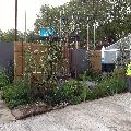 RHS Chelsea flower show