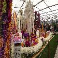 RHS Chelsea flower show